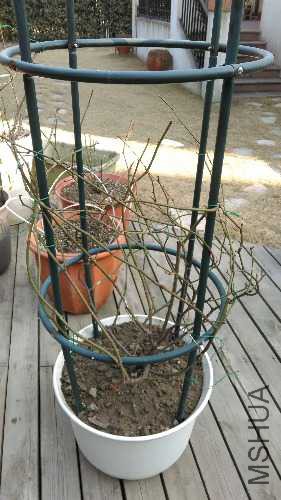 IMAG0528.jpg