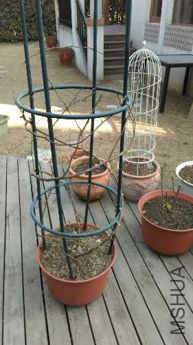 IMAG0529.jpg