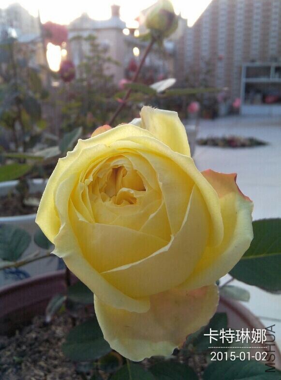 QQͼƬ20150104090831.jpg