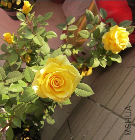 QQͼƬ20141230154614.jpg