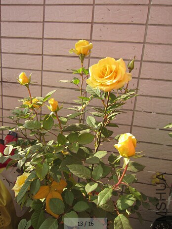 QQͼƬ20141230154702.jpg