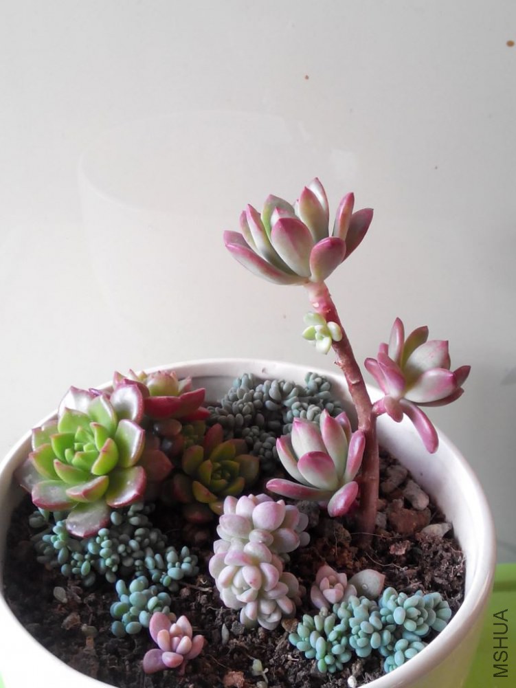 ��櫵�