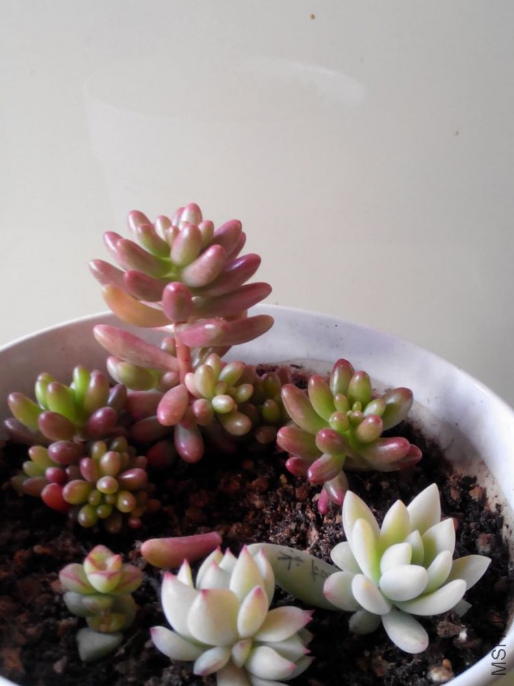 ��֮�����