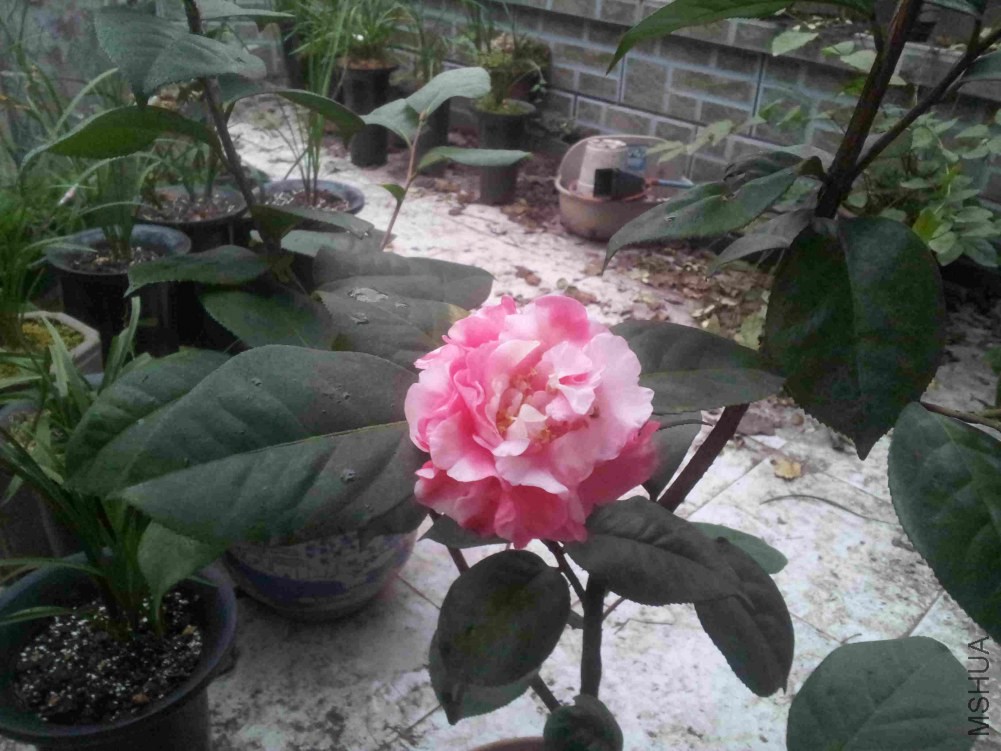 20150104_174123.jpg