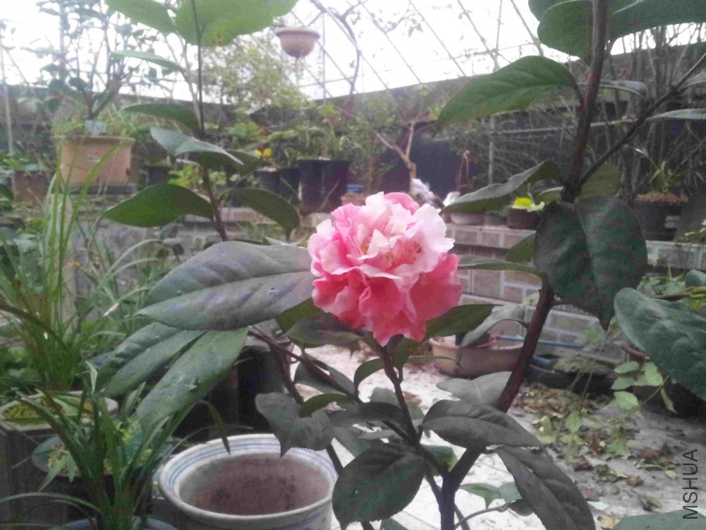 20150104_174152.jpg