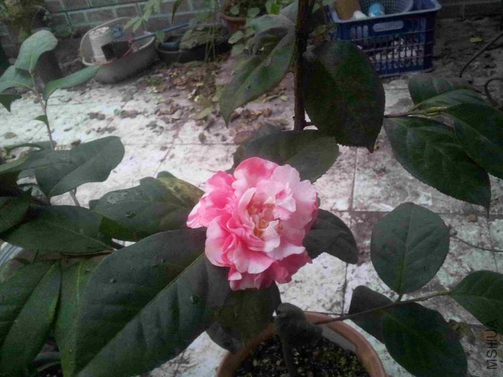 20150104_174133.jpg