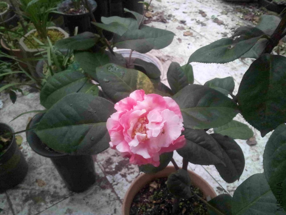 20150104_174143.jpg