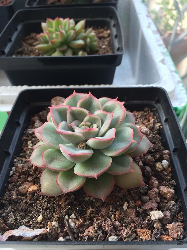 �Ի��� 2015.01.04a.JPG