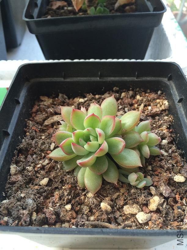 Ů�� 2015.01.04.JPG