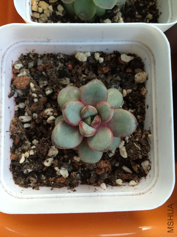 ���� 2015.01.04.JPG
