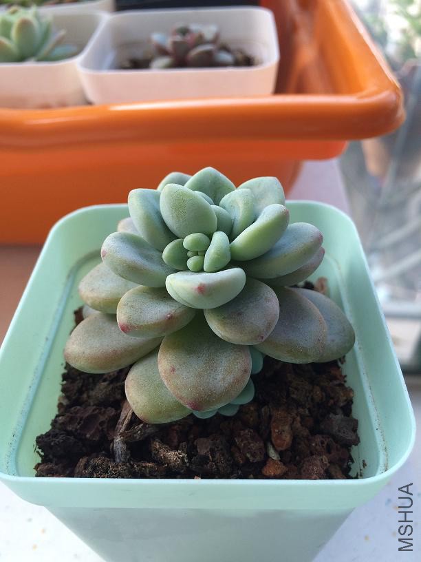 �Ͷ� 2015.01.04a.JPG