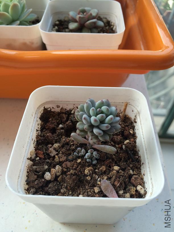 ���� 2015.01.04.JPG