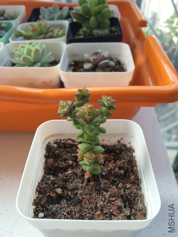 С���� 2015.01.04.JPG