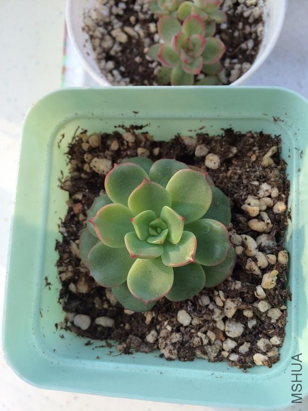 �컯ױ 2015.01.04.JPG