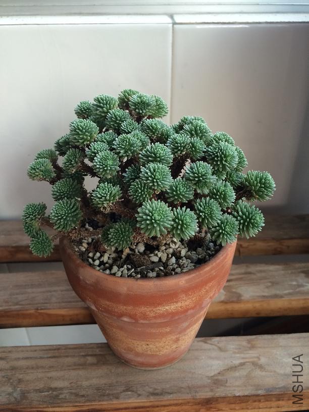 ���� 2015.01.04.JPG