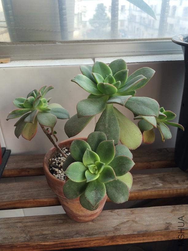 ���ջ� 2015.01.04.JPG