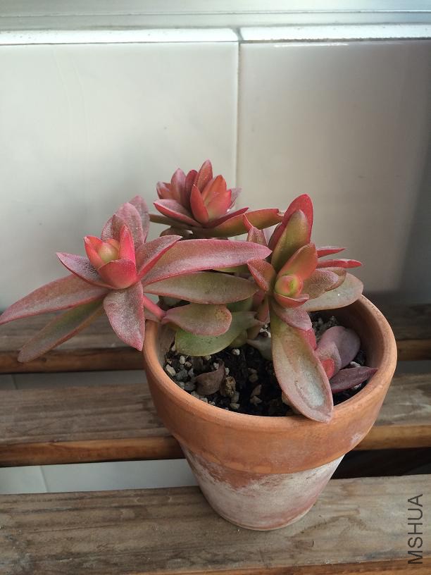 ��� 2015.01.04.JPG