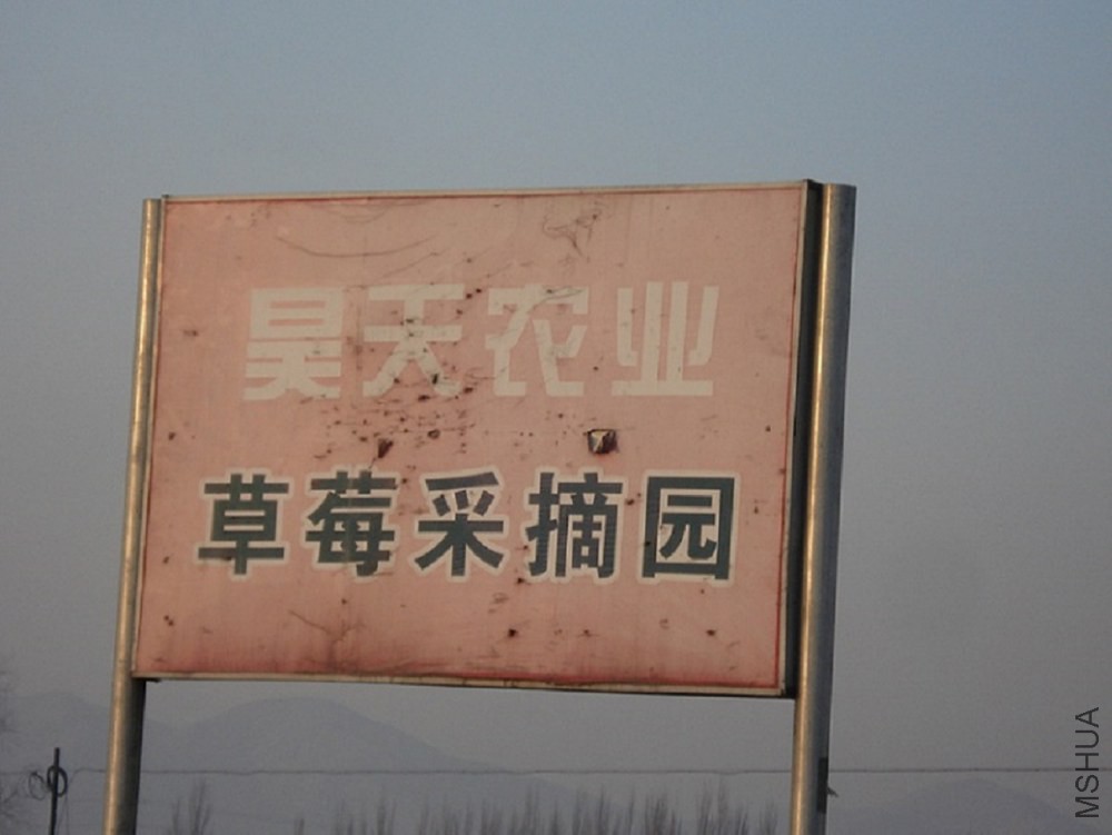 DSC001.JPG