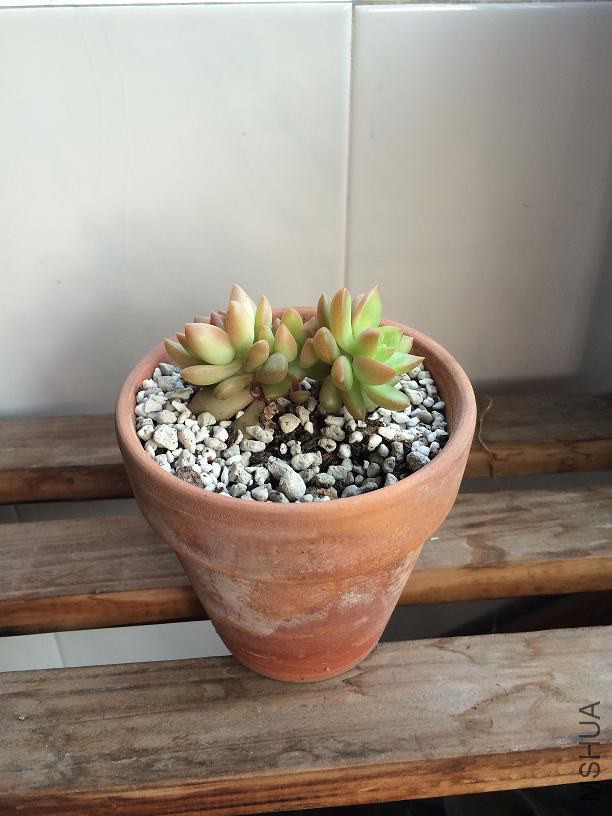 ���� 2015.01.04.JPG