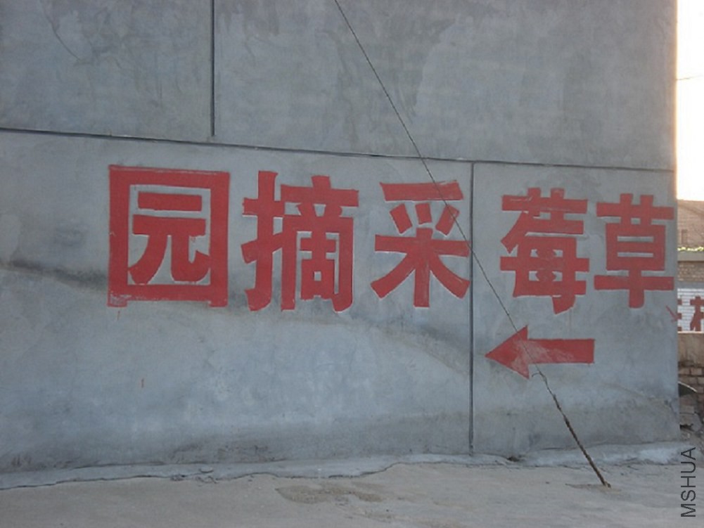 DSC004.JPG