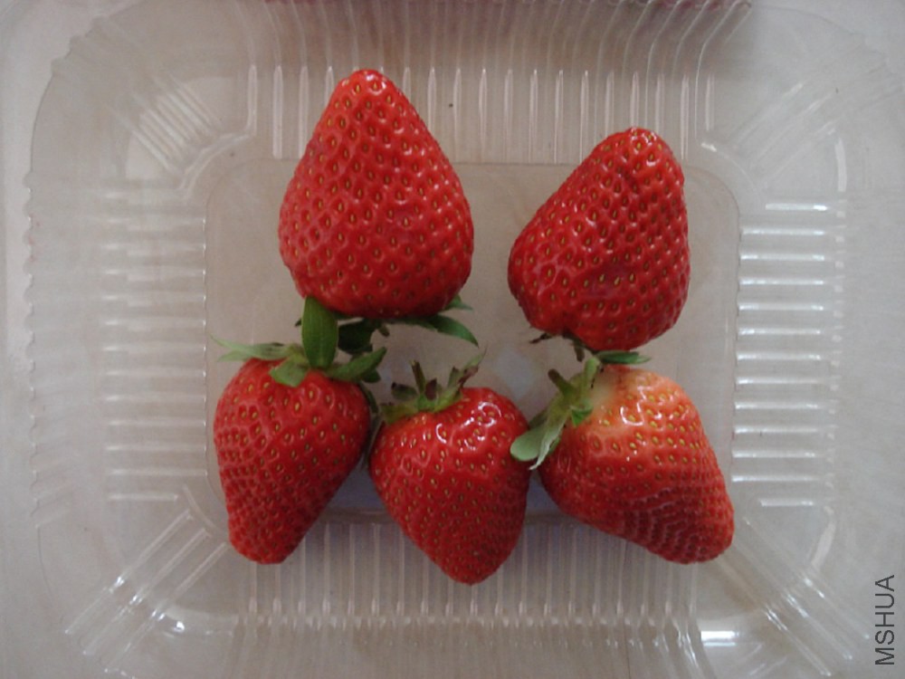 DSC010.JPG