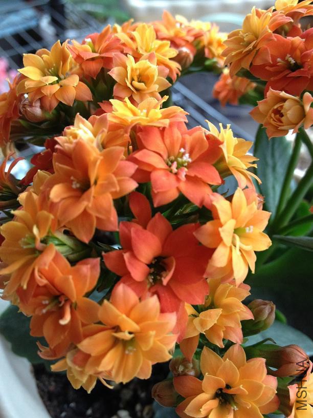 ���� 2014.04.02.JPG