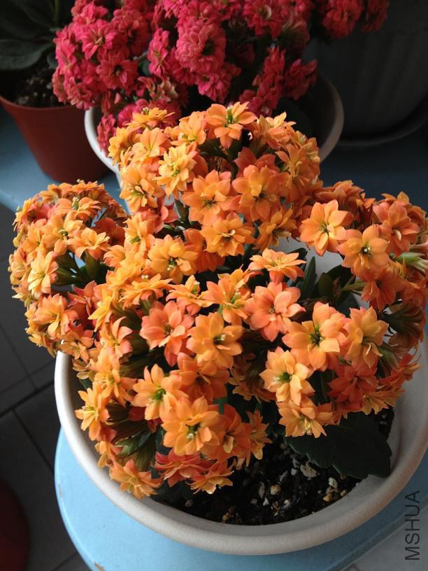 ���� 2014.04.26.JPG