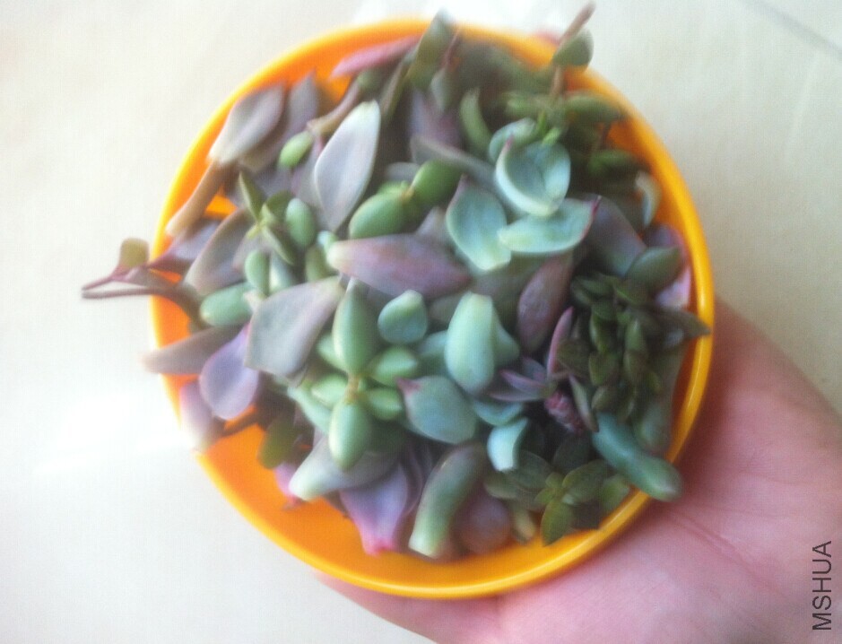 QQͼƬ20150105011913.jpg