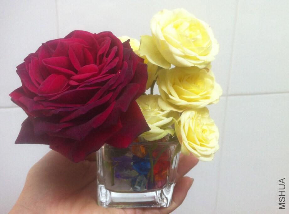 QQͼƬ20150105182410.jpg