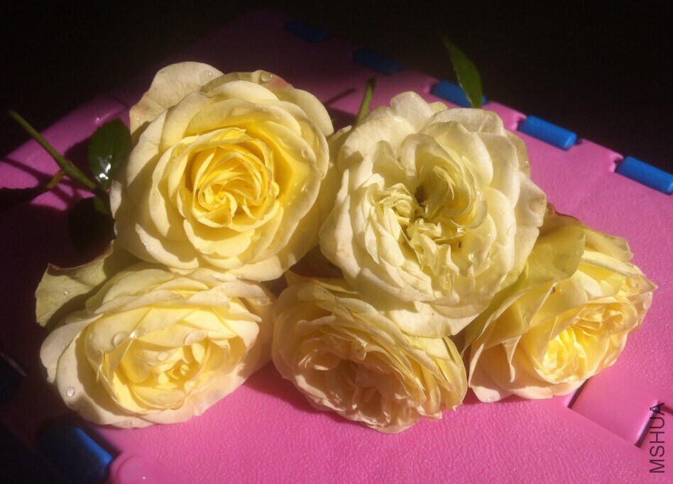 QQͼƬ20150105182426.jpg