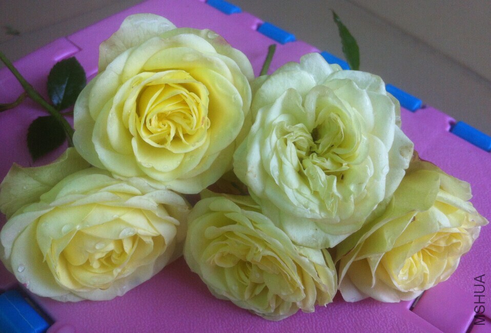 QQͼƬ20150105182440.jpg