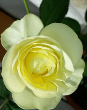 QQ��ͼ20150105203600.jpg