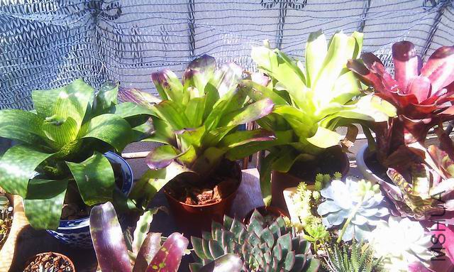 ������С IMAG0724.jpg