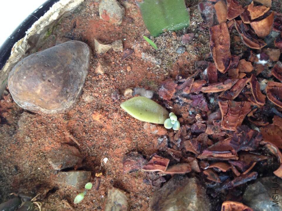 QQͼƬ20150106104130.jpg