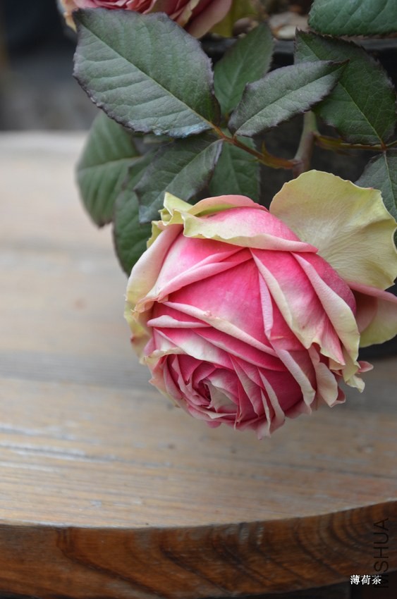 DSC_3429.JPG