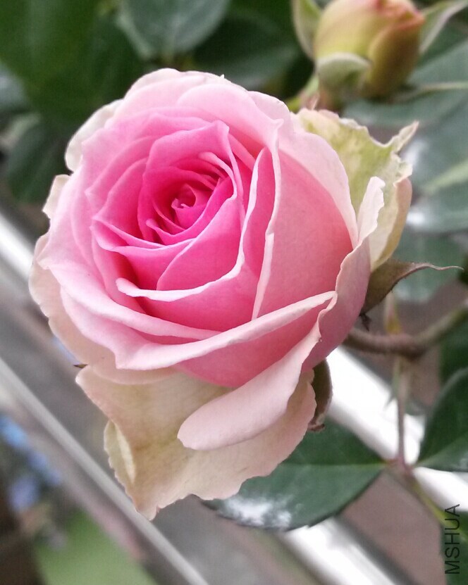 QQͼƬ20150106151927.jpg