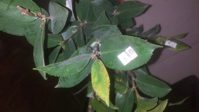 20150106_143307.jpg