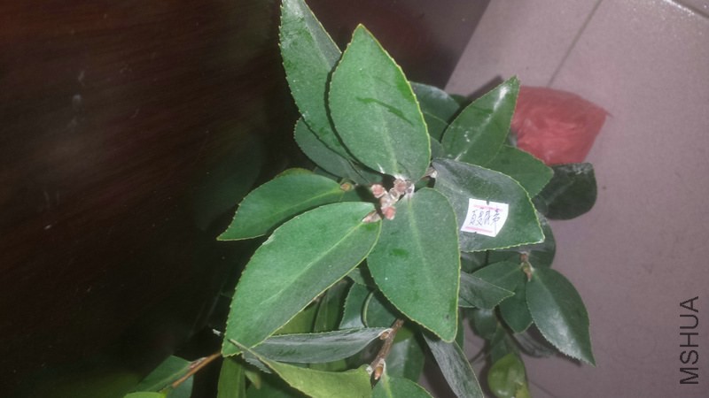 20150106_143334.jpg