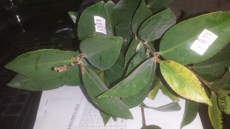 20150106_220317.jpg
