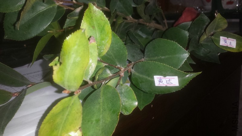 20150106_220329.jpg