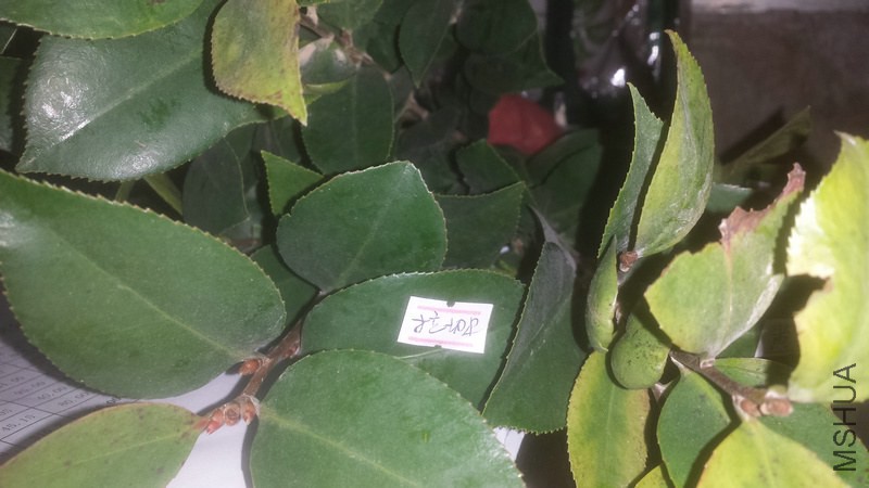 20150106_220353.jpg