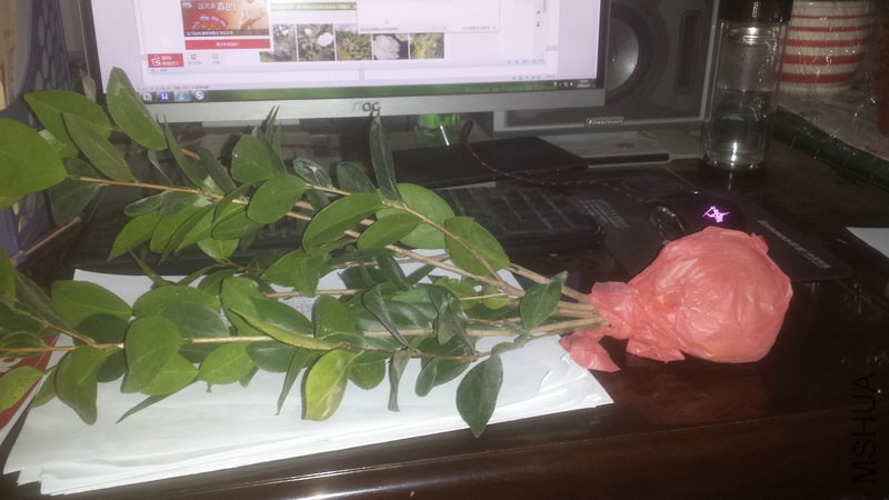 20150106_215804.jpg
