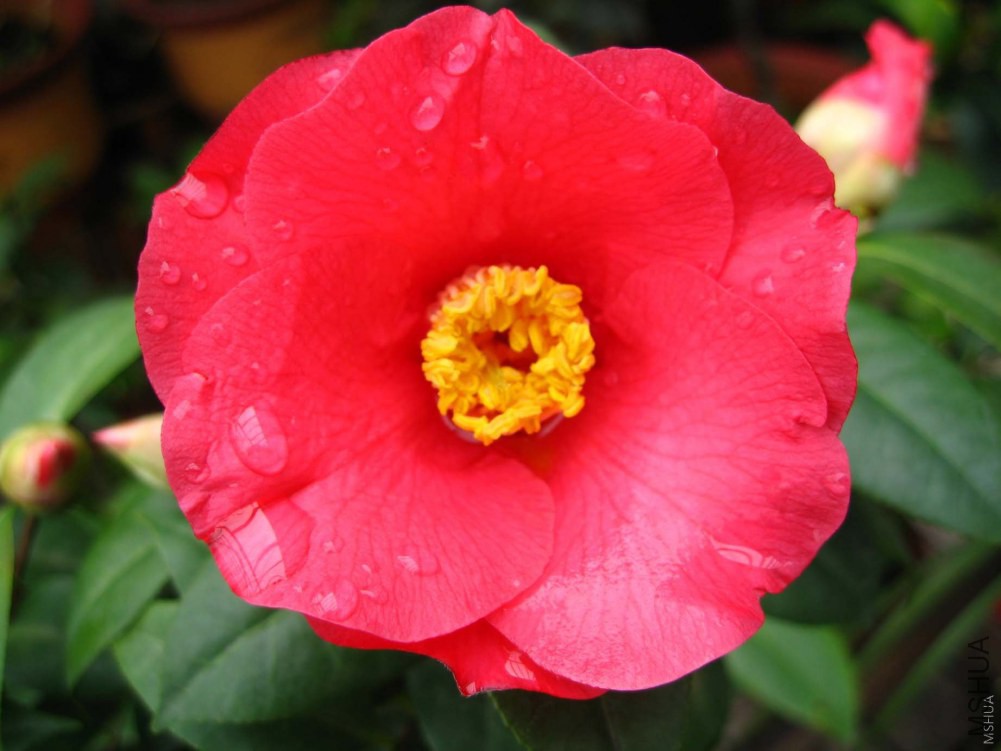 ���08-3-18 (30).jpg