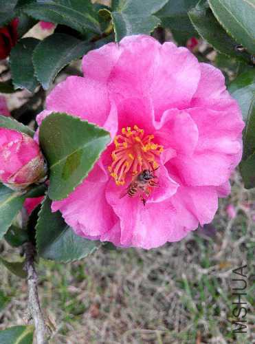 IMG_20141215_143834.jpg