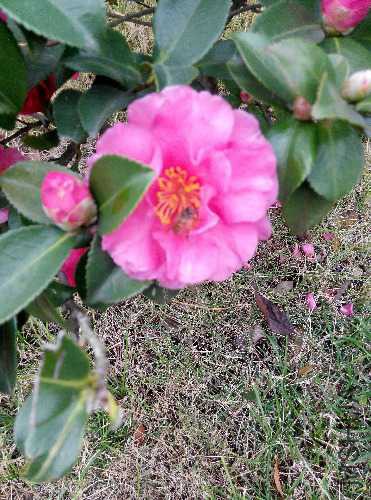 IMG_20141215_143828.jpg