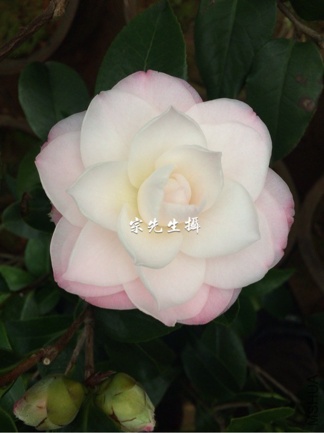 ��30