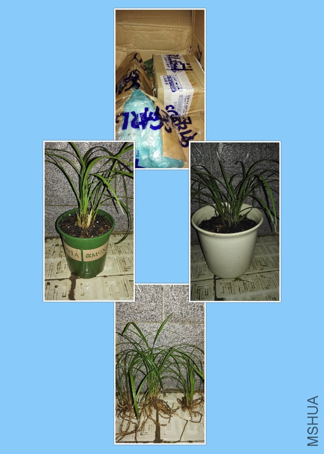 �����ܴ�ͼ��