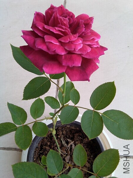 QQͼƬ20150107220833.jpg