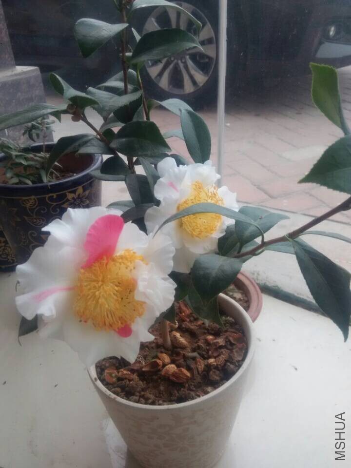 QQͼƬ20150107224506.jpg