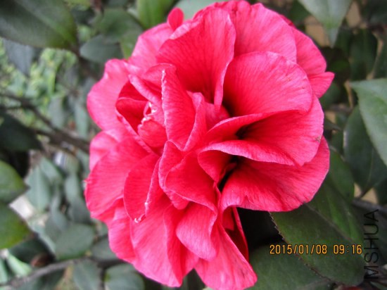 IMG_5385_�༭.jpg